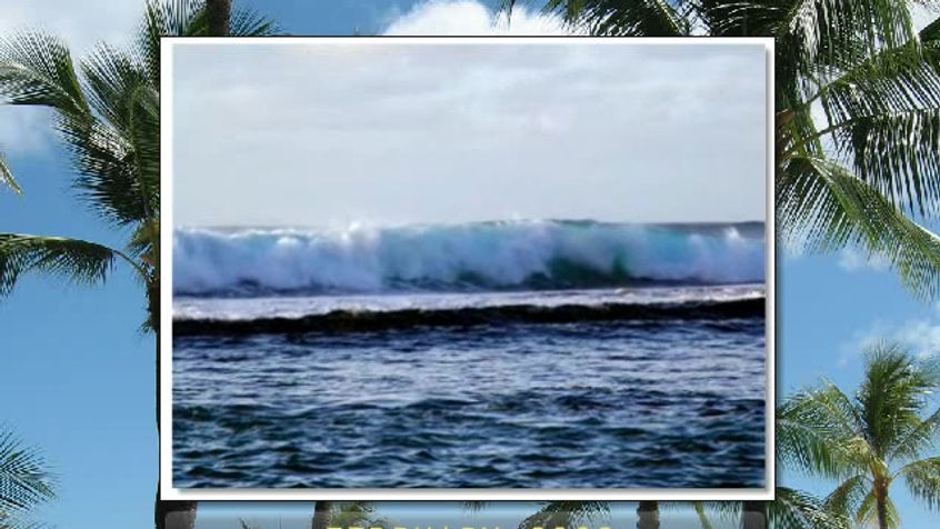 Welcome To Kauai-February 2008